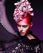 COVER PHOTO: DENISE KRENTZ