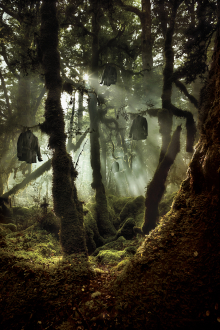 Photographer: Mat Blamires gallery