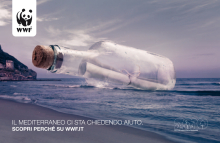 Client: WWF gallery