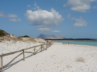 SARDINIA PRODUCTION SERVICE