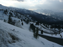 :  gallery