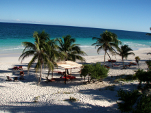 Location: TULUM, MEXICO gallery