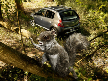 Client: Renault gallery