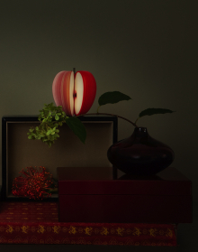 :  gallery