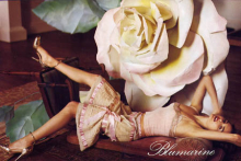 Client: Blumarine gallery