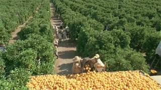 COVER IMAGE: PRODUCTION SERVICES PORTUGAL