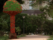 Client: Instituto HSBC gallery