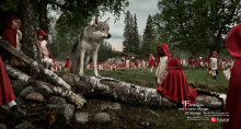 Photographer: Petrus Olsson gallery