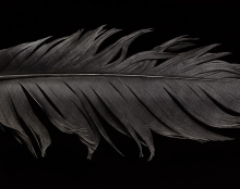 Photographer: Mark Wiens gallery