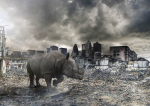 Client: Rhino Investment Management gallery