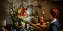 Photographer: Staudinger- Franke gallery