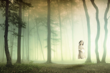 Photographer: Samet&Cihan gallery