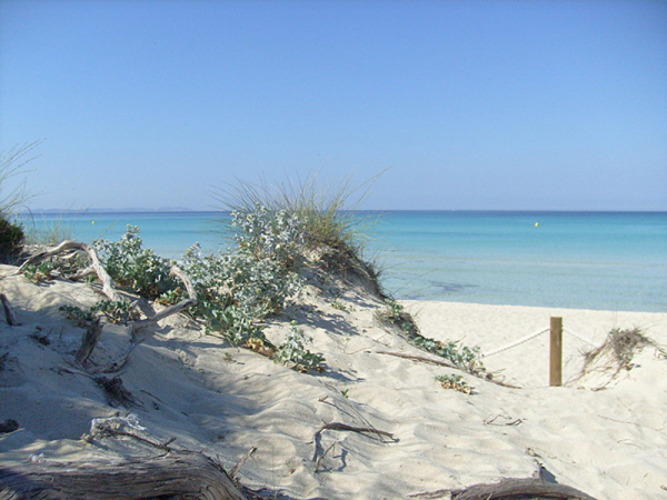 Mallorca Media Production