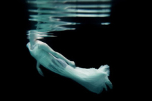  Communication Arts Photography Annual 2011 gallery