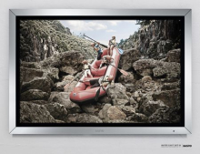 Agency: Saatchi NZ gallery