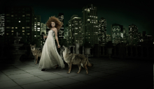Client: Prairie Vodka gallery