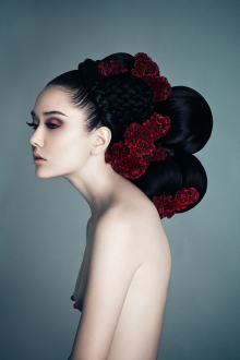  Celosia gallery