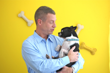 Client: Petplan  gallery