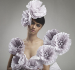 shashi nair photography