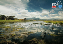 Client: Coleman - Crocodile gallery