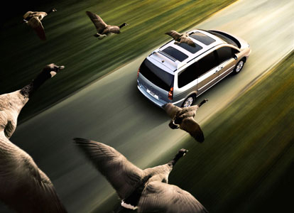 Big Fish Film Productions
