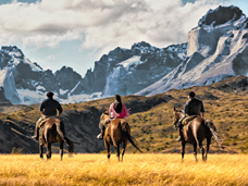 COVER PHOTO: BRETT & WESTON PHOTOGRAPHY