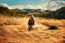  Wrangler Ad Campaign gallery