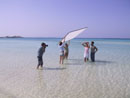 :  gallery