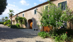 watson production