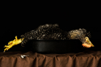 aaron graubart photography