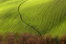 :  gallery