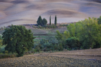 david hoptman