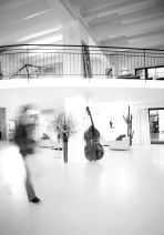 p12 studios