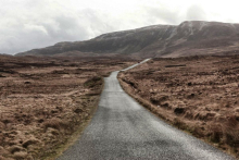 Title: Bog Road gallery