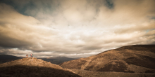 :  gallery