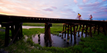 :  gallery