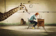 Client: The ONEderful One Show Campaign gallery