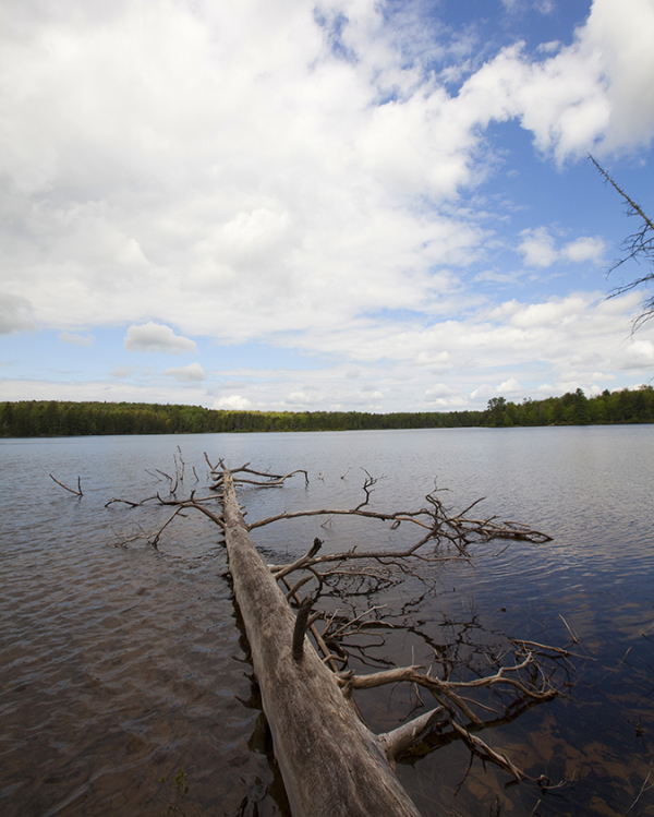 Adirondack Mountain Productions