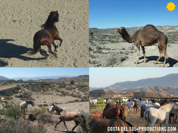 COSTA DEL SOL productions