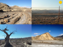 Location Gallery gallery