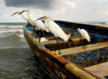 Photographer: Sergio Barrios Gómez gallery
