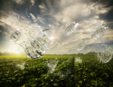  Pesticide Campaign - CGI Grenades gallery