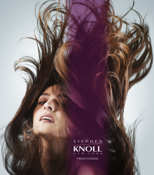 Client: Stephen Knoll NY gallery