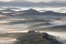Client: MINISTRY OF AGRICULTURE OF BRAZIL gallery