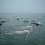 new york photo festival