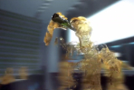 duckling post production