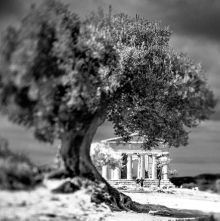 Location: Italy, Sicily, Agrigento gallery