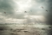 :  gallery