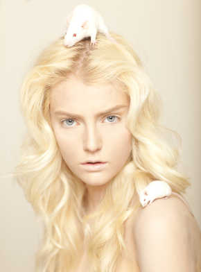 Photographer: Rus Anson gallery