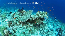  Corporate Social Responsibility Initiatives gallery